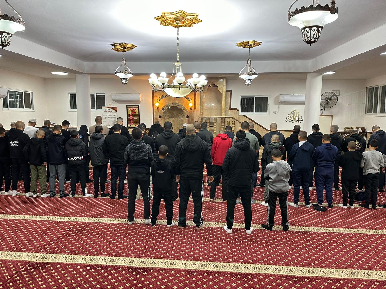 WhatsApp Image 2023-04-01 at 7.47.06 AM (1).jpeg